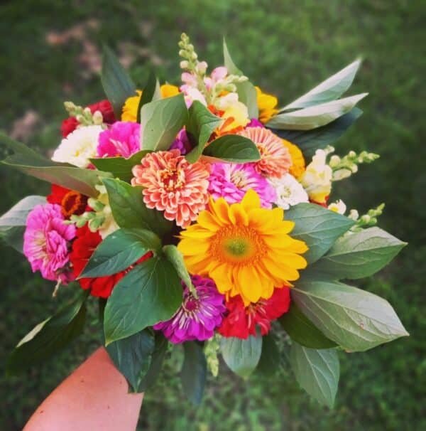 Fresh Bouquets - Image 6