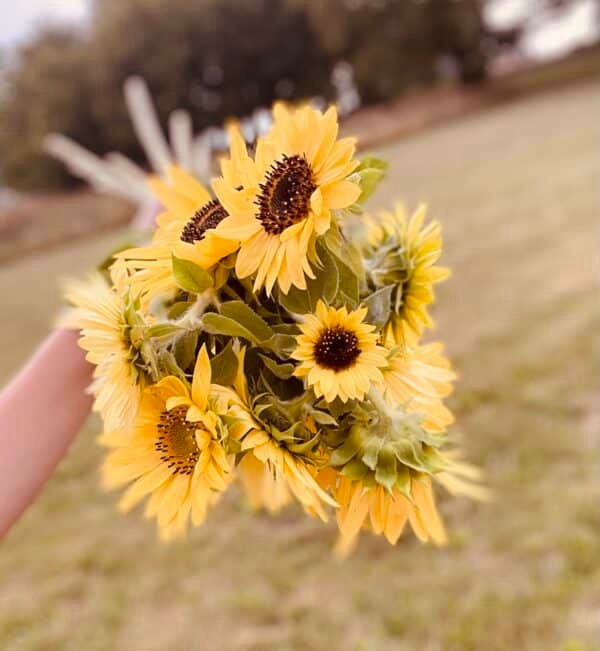 Fresh Bouquets - Image 3