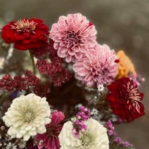 Fresh Bouquets