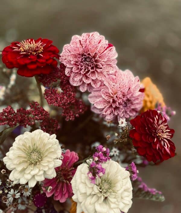 Fresh Bouquets