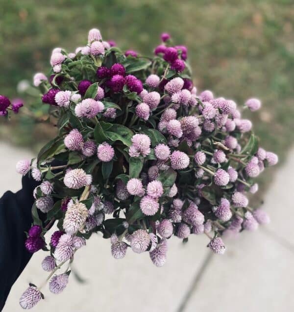 Centerpieces