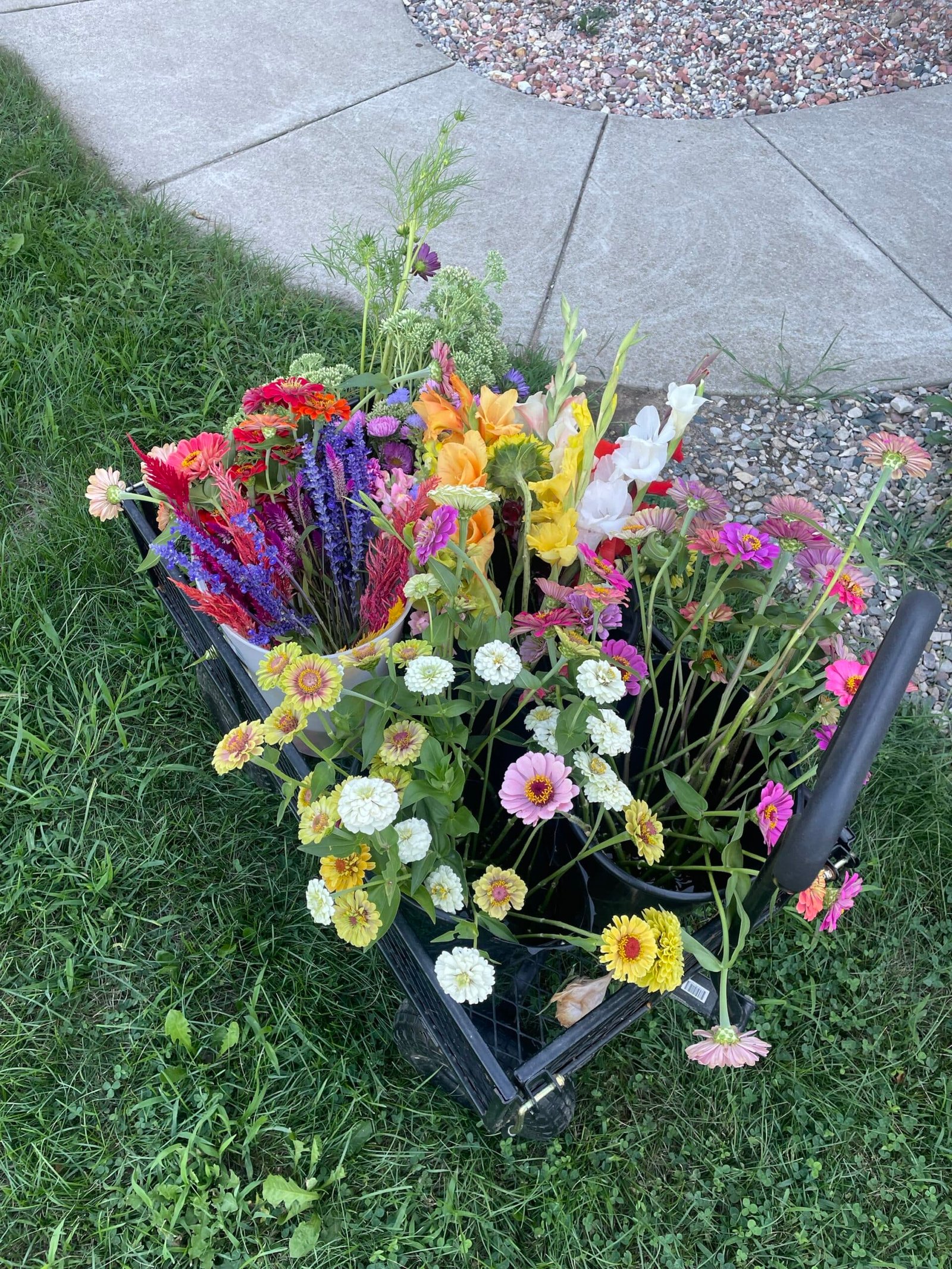 Summer Garden Flower Subscription - Image 5