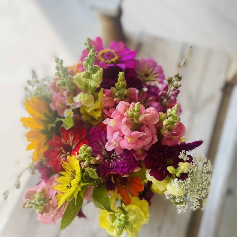 Blondies_Blossoms_47